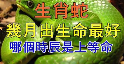 屬蛇幾月生好|屬蛇最旺月份大預測